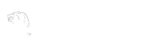 fremont county home inspection