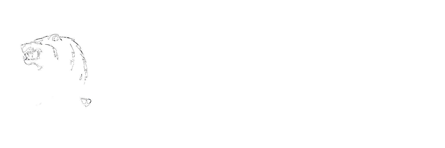 3D Building Mapping - Fremont County Home Inspection